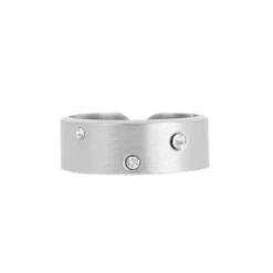 Bague Les Interchangeables A59137 - Brossée Strasse Palladium Femme