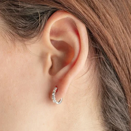 Boucles d'oreilles Femme Lotus Silver LP1785-4-1