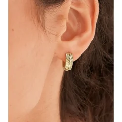 Boucles d'oreilles JF04116710 dorées