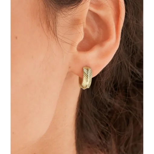 Boucles d'oreilles JF04116710 dorées