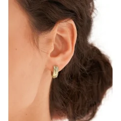 Boucles d'oreilles JF04116710 dorées