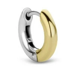 Boucles d’oreilles Ti Sento 7210SY-H - Argent, plaqué or