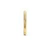 Boucles d'oreilles Ti Sento 7902SY-H - Argent, plaqué or
