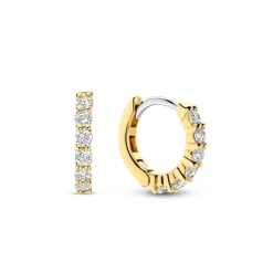 Boucles D'Oreilles Ti Sento - 7956ZY Argent Doré Anneaux Et Pavage