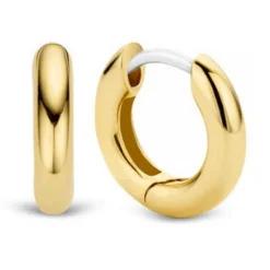 Boucles d'oreilles Ti Sento 7210YS - Boucles d'oreilles Argent Doré Anneau Femme