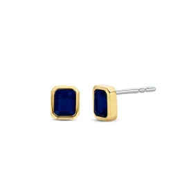 Boucles d'oreilles Ti Sento 7893BY - Argent, plaqué or