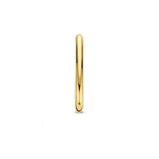Boucles d'oreilles Ti Sento 7902SY-H - Argent, plaqué or