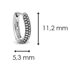 Boucles d'oreilles Ti Sento 7759SB-H - Argent