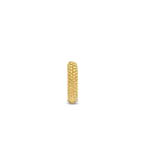 Boucles d'oreilles Ti Sento 7894SY-H - Argent, plaqué or