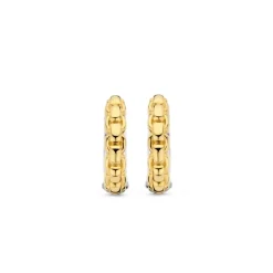 Boucles D'Oreilles Ti Sento - 7961SY Argent Doré Effet Tressé