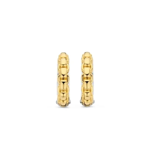 Boucles D'Oreilles Ti Sento - 7961SY Argent Doré Effet Tressé