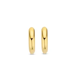 Boucles D'Oreilles Ti Sento - 7954YS Argent Doré Anneaux Et Pavage