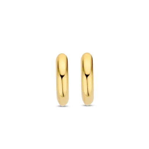 Boucles D'Oreilles Ti Sento - 7954YS Argent Doré Anneaux Et Pavage