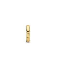 Boucles d'oreilles Ti Sento 7889SY-H - Argent, plaqué or