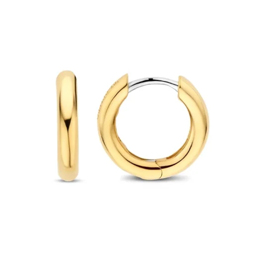 Boucles D'Oreilles Ti Sento - 7812YS Argent Doré Anneaux