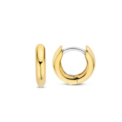 Boucles D'Oreilles Ti Sento - 7954YS Argent Doré Anneaux Et Pavage