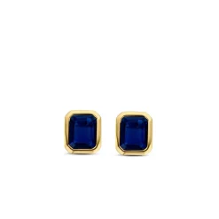 Boucles d'oreilles Ti Sento 7893BY - Argent, plaqué or