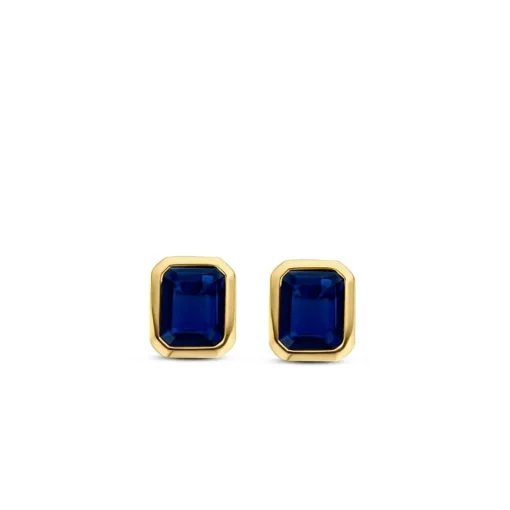 Boucles d'oreilles Ti Sento 7893BY - Argent, plaqué or