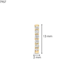 Boucles D'Oreilles Ti Sento - 7957ZY Argent Doré Anneaux Et Pavage