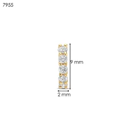 Boucles D'Oreilles Ti Sento - 7955ZY Argent Doré Anneaux Et Pavage