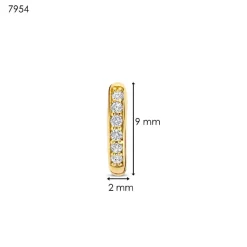 Boucles D'Oreilles Ti Sento - 7954ZY Argent Doré Anneaux Et Pavage