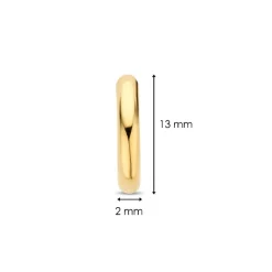 Boucles D'Oreilles Ti Sento - 7812YS Argent Doré Anneaux