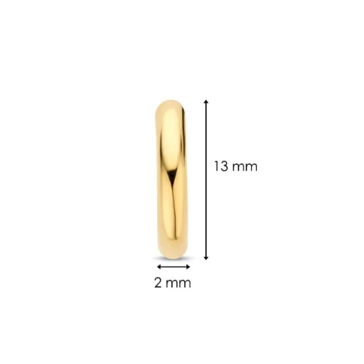 Boucles D'Oreilles Ti Sento - 7812YS Argent Doré Anneaux