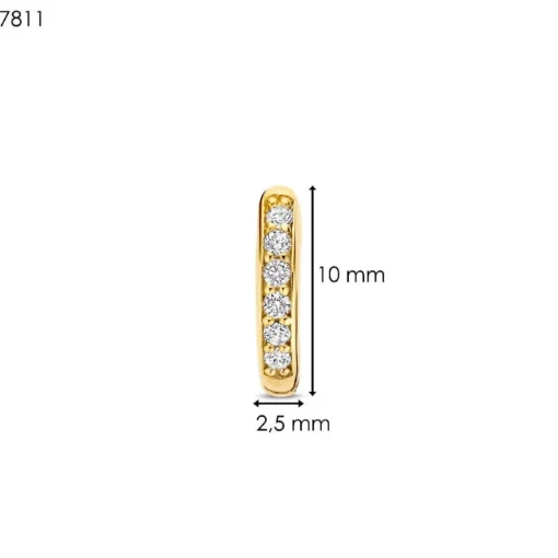 Boucles D'Oreilles Ti Sento - 7811ZY Argent Doré Anneaux Et Pavage