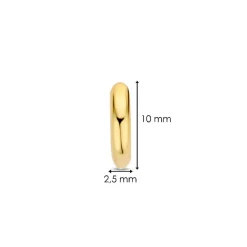 Boucles D'Oreilles Ti Sento - 7811YS Argent Doré Anneaux