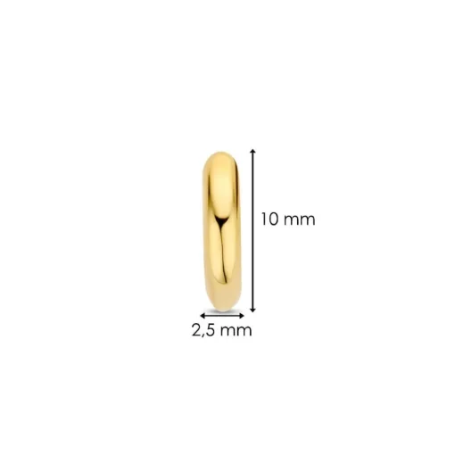 Boucles D'Oreilles Ti Sento - 7811YS Argent Doré Anneaux