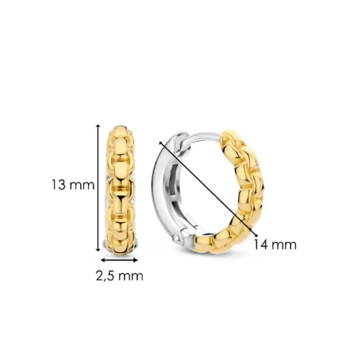 Boucles D'Oreilles Ti Sento - 7961SY Argent Doré Effet Tressé