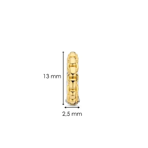 Boucles D'Oreilles Ti Sento - 7961SY Argent Doré Effet Tressé