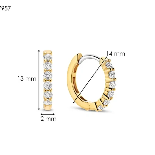Boucles D'Oreilles Ti Sento - 7957ZY Argent Doré Anneaux Et Pavage