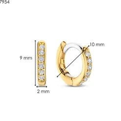 Boucles D'Oreilles Ti Sento - 7954ZY Argent Doré Anneaux Et Pavage