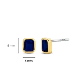Boucles d'oreilles Ti Sento 7893BY - Argent, plaqué or
