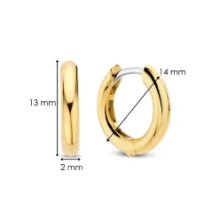 Boucles D'Oreilles Ti Sento - 7812YS Argent Doré Anneaux