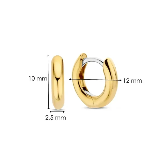Boucles D'Oreilles Ti Sento - 7811YS Argent Doré Anneaux