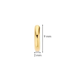 Boucles D'Oreilles Ti Sento - 7954YS Argent Doré Anneaux Et Pavage