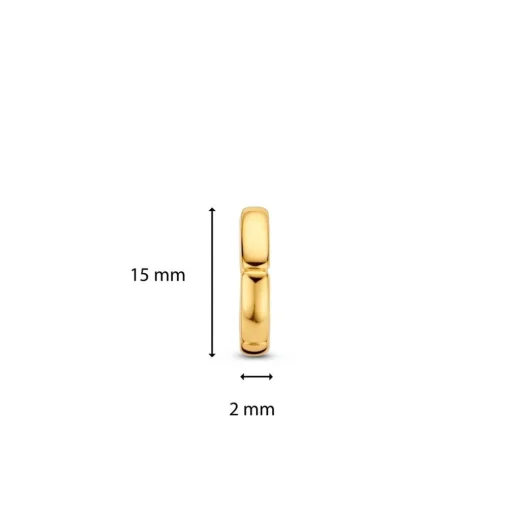 Boucles d'oreilles Ti Sento 7889SY-H - Argent, plaqué or