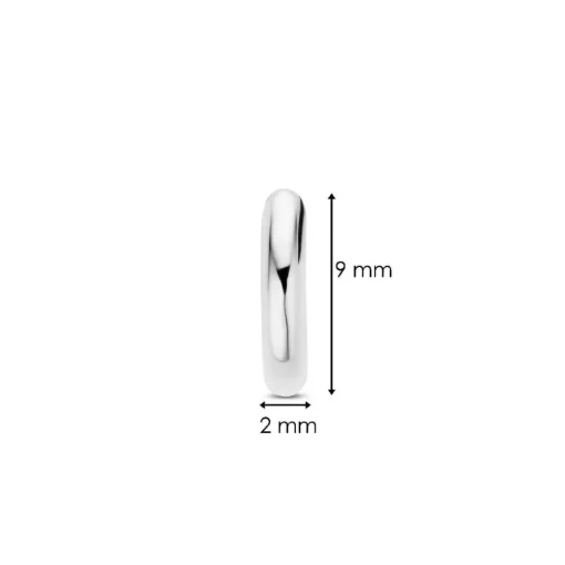Boucles D'Oreilles Ti Sento - 7954SI Argent Rhodié Anneaux
