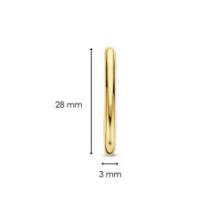 Boucles d'oreilles Ti Sento 7902SY-H - Argent, plaqué or