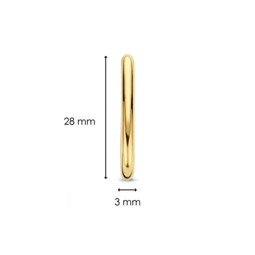 Boucles d'oreilles Ti Sento 7902SY-H - Argent, plaqué or