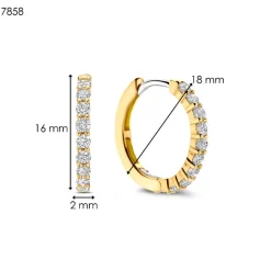 Boucles D'Oreilles Ti Sento - 7958ZY Argent Doré Anneaux Et Pavage