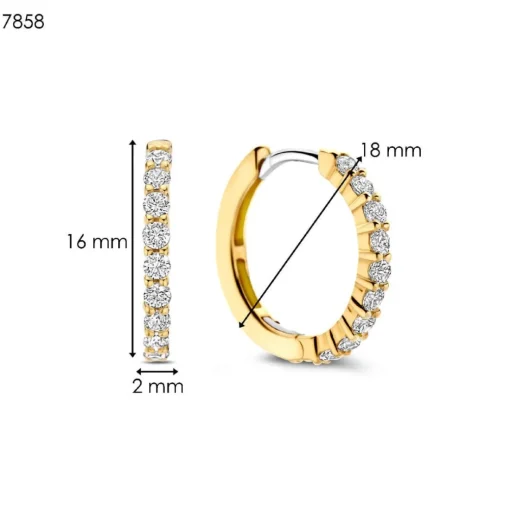 Boucles D'Oreilles Ti Sento - 7958ZY Argent Doré Anneaux Et Pavage