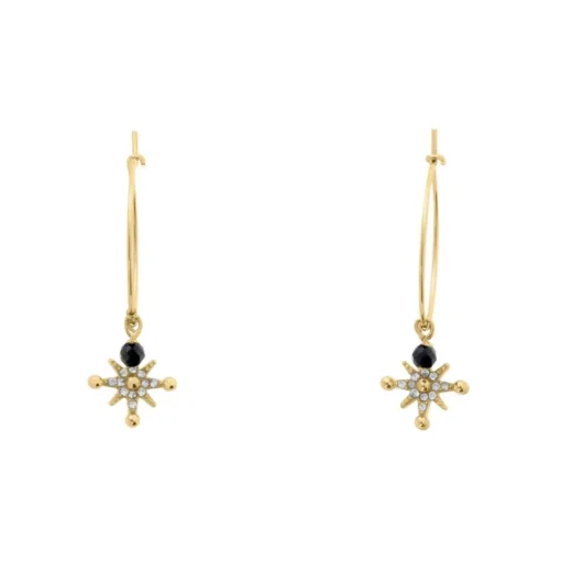 Boucles oreilles Pierre Lannier Bijoux Australe - BJ22A2231 Acier Doré