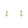 Boucles oreilles Pierre Lannier Bijoux Persea - BJ21A2211 Acier Doré