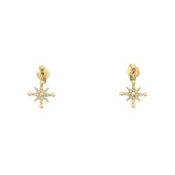 Boucles oreilles Pierre Lannier Bijoux Persea - BJ21A2211 Acier Doré