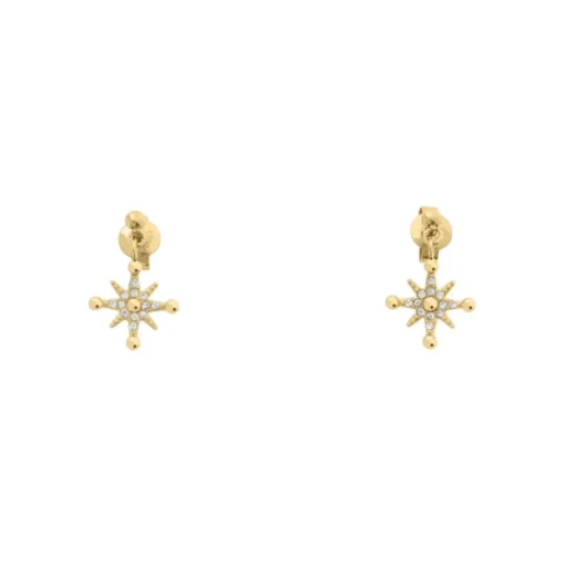 Boucles oreilles Pierre Lannier Bijoux Persea - BJ21A2211 Acier Doré