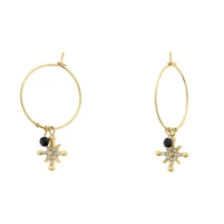 Boucles oreilles Pierre Lannier Bijoux Australe - BJ22A2231 Acier Doré