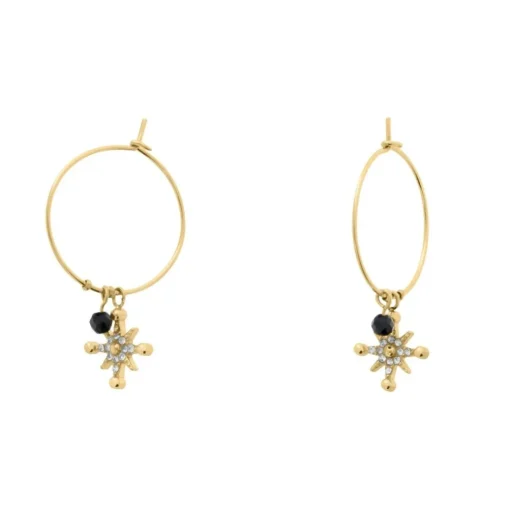 Boucles oreilles Pierre Lannier Bijoux Australe - BJ22A2231 Acier Doré